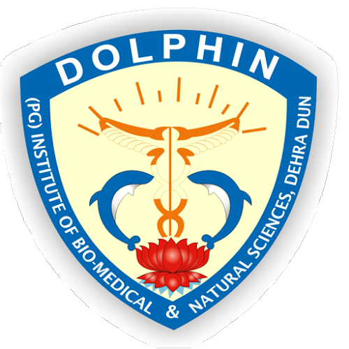 Dolphin